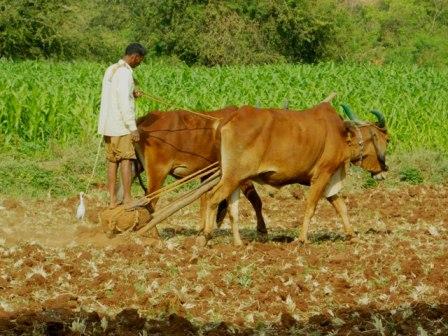 ऋण मोचन योजना के लिए किसानों के लिए जाने क्या है पात्रता