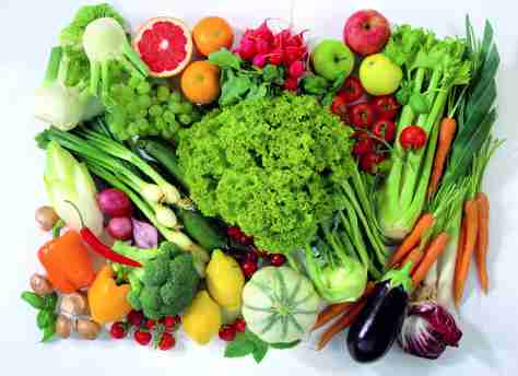 जानें क्या है सब्जियों हेतु नर्सरी डालने का सही समय