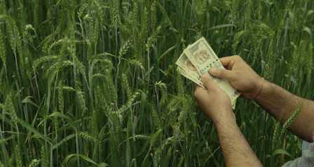 किसानों के लिए फसल ऋण हेतु ब्याज सहायता योजना मंजूर