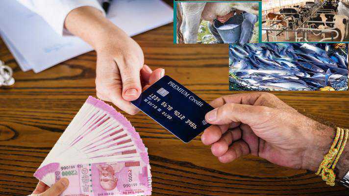 kisan credit card for pashupalan & machlipalan