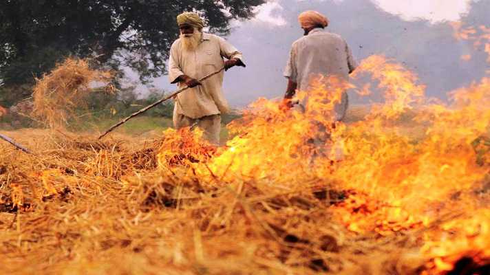 Why should not the farmer burn the wheat harvest in the farm