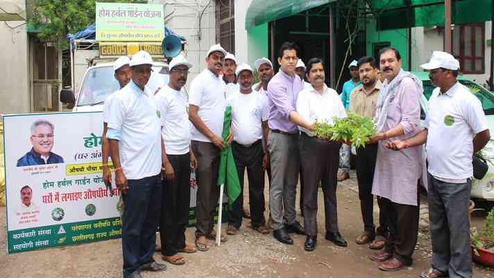 medicinal plant distribution free