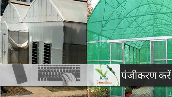 poly house green house shed net house flower farming subsidy panjiyan
