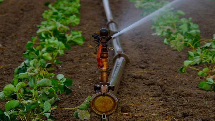 sprinkler set subsidy up avedan