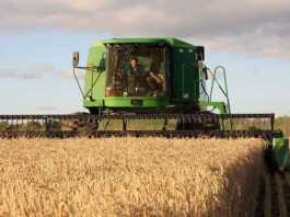 crop harvesting and purchasing in lockdown