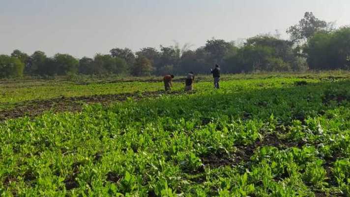कोरोना संकट: राज्य सरकार ने किसान हित में लिए तीन बड़े फैसले