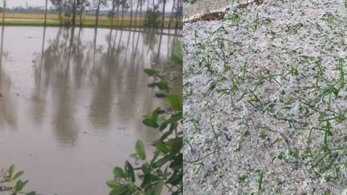 मुख्यमंत्री ने दिए बारिश एवं ओलावृष्टि से किसानों को हो रहे नुकसान का आकलन करने के निर्देश