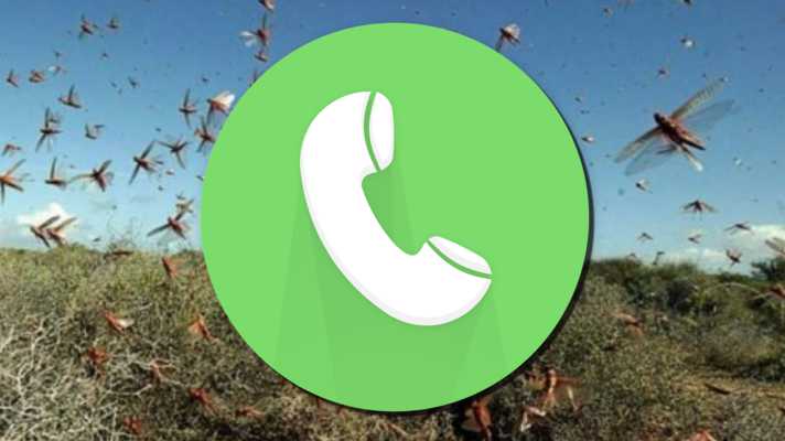 टिड्डी कीट का हमला होने पर किसान इस नम्बर पर करें फोन