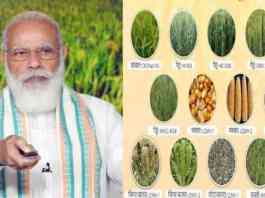 17 biofortified varieties of crops developed