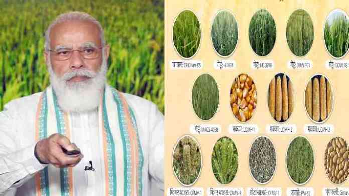 17 biofortified varieties of crops developed