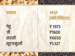 rabi crop registration for msp