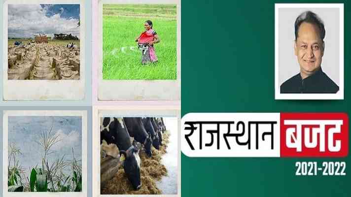 राजस्थान बजट 2021-22: विस्तार से जानिए किसानों को क्या-क्या मिला