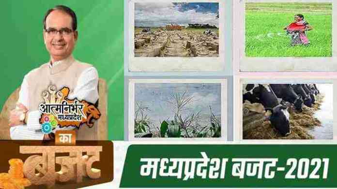 budget mp 2021 for farmers