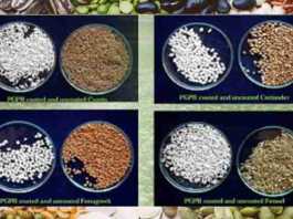 Seed Coating Composition