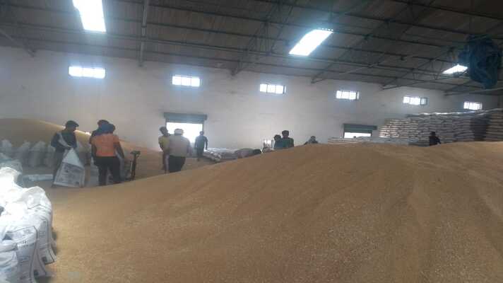देश में अभी तक गेहूं खरीदी के 49,965 करोड़ रुपये किसानों के खाते में सीधे दिए गए