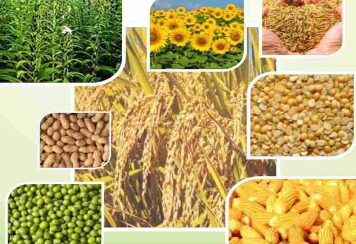 input subsidy on this kharif crops