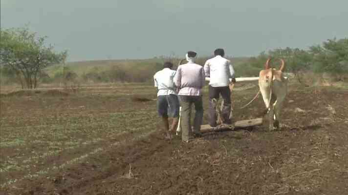 इस वर्ष खरीफ सीजन में किसानों को दिया जायेगा 5300 करोड़ रूपए के ऋण