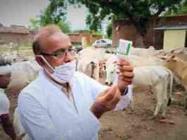 animal vaccination programme