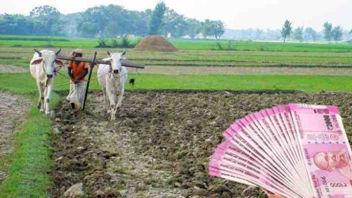 new loan for loan waiver farmer