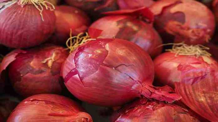 subsidy on onion farming