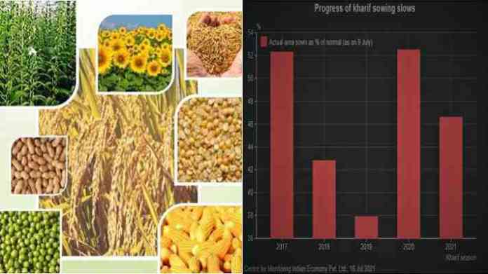 kharif crop sowing report 2021 july