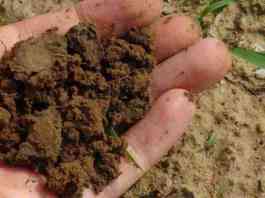 soil test