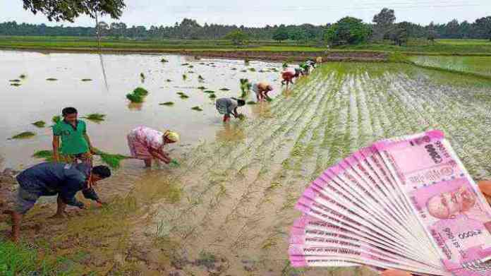 Rajiv Gandhi bhoomihin Agricultural Mazdoor Nyay Scheme