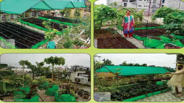 25 हजार रुपये की सब्सिडी पर अपने घर की छतों पर बागवानी के लिए करें ऑनलाइन आवेदन