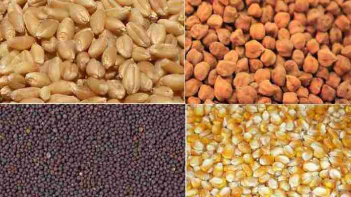 rabi crop seeds subsidy