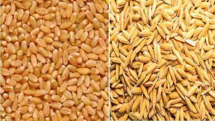subsidy on wheat and paddy seeds