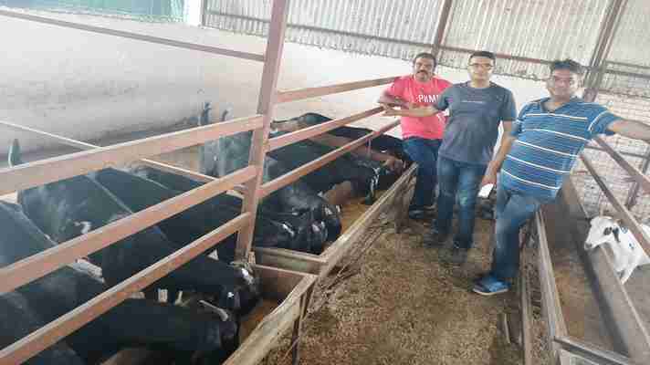 इंजीनियरिंग की नौकरी छोड़ 3 दोस्तों ने शुरू किया बकरी पालन, अब हो रही लाखों रुपये की कमाई