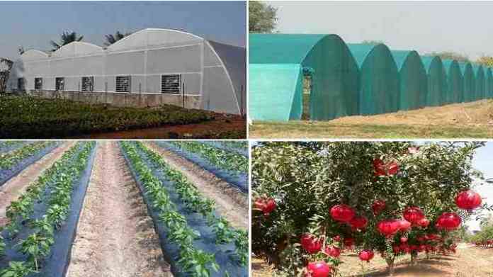 green house shednet house pack house subsidy