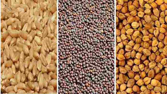 rabi crop seeds distribution
