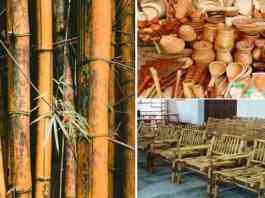subsidy on bamboo business