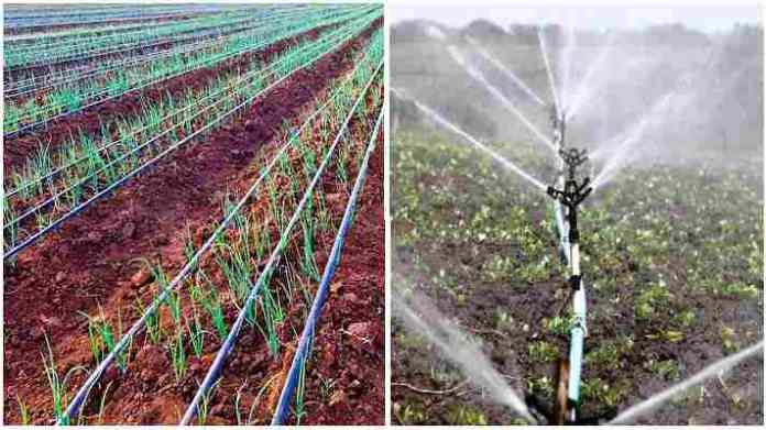 drip sprinkler irrigation Subsidy