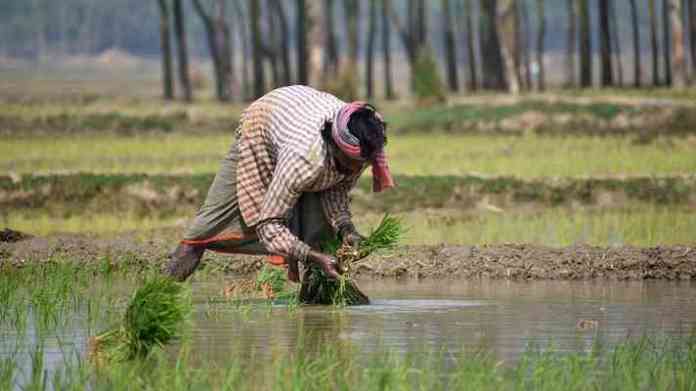 Impact of climate change on agriculture in India