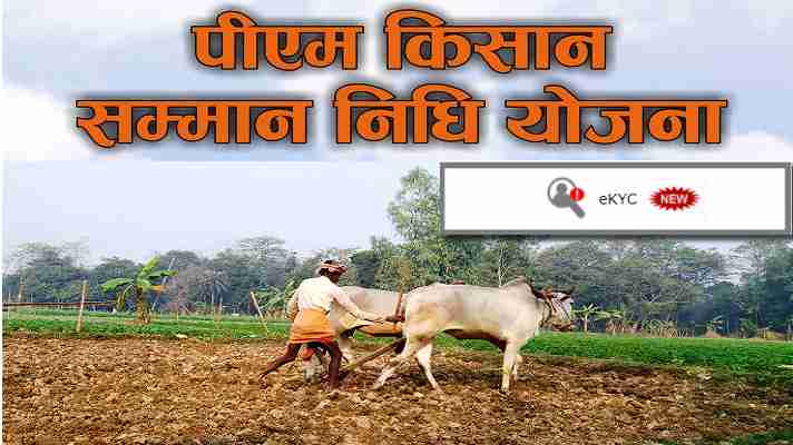 किसान जल्द करायें अपना e-KYC, नहीं तो नहीं मिलेंगे पीएम-किसान योजना के 6000 रुपये