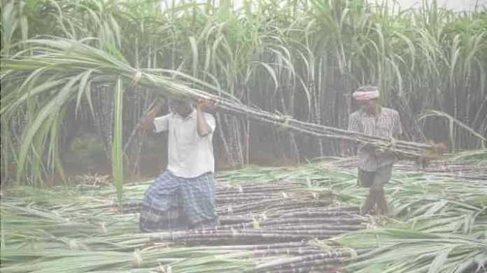 Increase in the price of sugarcane purchase