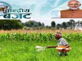 budget for urea and other fertilizers