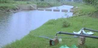Water from canal for irrigation for summer moong