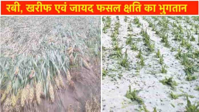 crop damage compensation raj