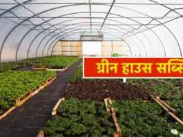 green house subsidy