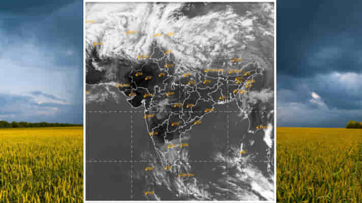 मध्यप्रदेश एवं राजस्थान के इन जिलों में 8 से 10 मार्च के दौरान हो सकती है बारिश