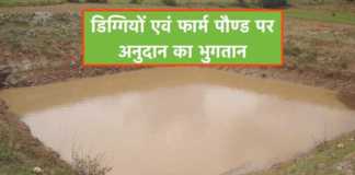 diggi & farm pond subsidy