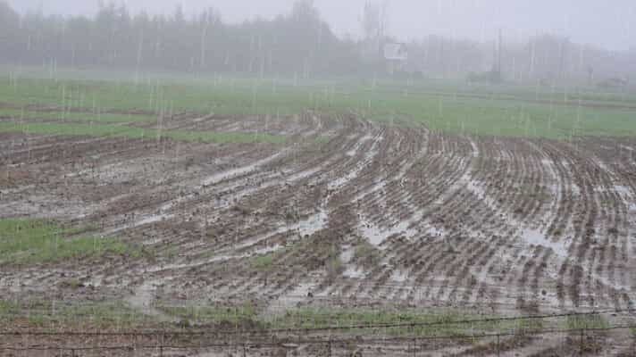 स्काईमेट ने जारी किया इस वर्ष के लिए मानसून पूर्वानुमान, जानिए कैसी रहेगी इस वर्ष मानसून सीजन में बारिश