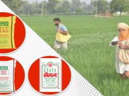 Use of other fertilizers instead of DAP in crops