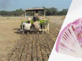 agriculture loan at zero percent interest