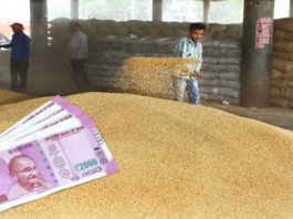 check status of wheat Procurment