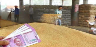 check status of wheat Procurment