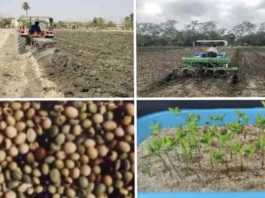 Field preparation for soybean cultivation